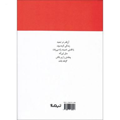 کتاب شاعری که نامه هایش به وطن نمی رسد مجموعه پازل شعر امروز جلد 144 product image