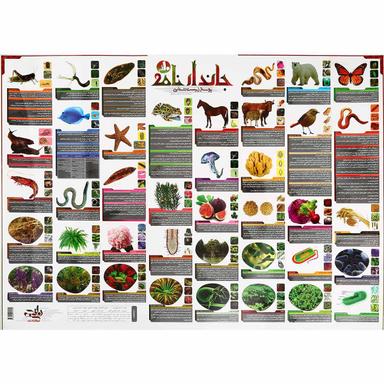 پوستر جاندار نامه زیست شناسی دهم تجربی سایز A2 انتشارات کتاب نارنجی product image
